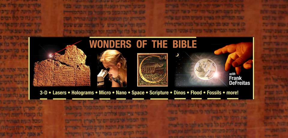 Wonders of the Bible Privacy and Terms of Service